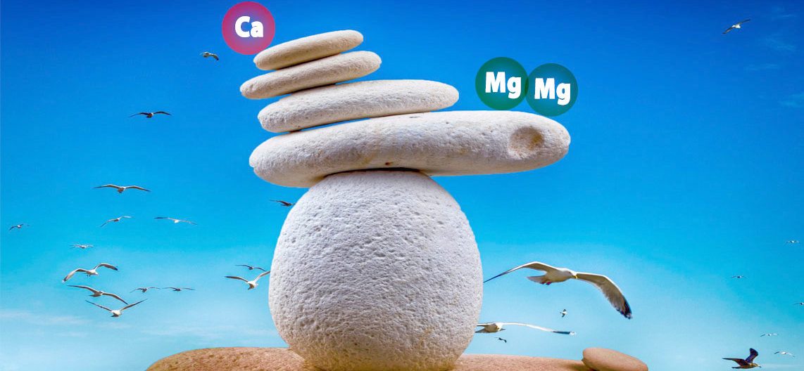 Magnezijum i kalcijum: neophodna ravnoteža